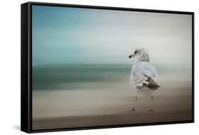 Waiting for the Tide-Jai Johnson-Framed Stretched Canvas