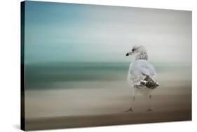 Waiting for the Tide-Jai Johnson-Stretched Canvas