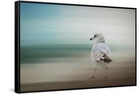 Waiting for the Tide-Jai Johnson-Framed Stretched Canvas