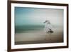 Waiting for the Tide-Jai Johnson-Framed Premium Giclee Print