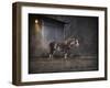 Waiting for Winter Horse-Jai Johnson-Framed Giclee Print