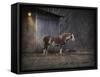 Waiting for Winter Horse-Jai Johnson-Framed Stretched Canvas