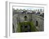 Waiting in Line To Kiss The Blarney Stone, Blarney Castle, Ireland-Cindy Miller Hopkins-Framed Photographic Print