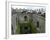 Waiting in Line To Kiss The Blarney Stone, Blarney Castle, Ireland-Cindy Miller Hopkins-Framed Photographic Print