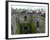 Waiting in Line To Kiss The Blarney Stone, Blarney Castle, Ireland-Cindy Miller Hopkins-Framed Photographic Print