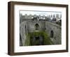 Waiting in Line To Kiss The Blarney Stone, Blarney Castle, Ireland-Cindy Miller Hopkins-Framed Photographic Print