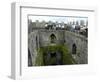 Waiting in Line To Kiss The Blarney Stone, Blarney Castle, Ireland-Cindy Miller Hopkins-Framed Photographic Print