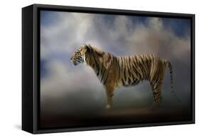 Waiting in the Light-Jai Johnson-Framed Stretched Canvas