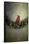 Waiting on Christmas-Jai Johnson-Framed Stretched Canvas