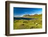 Waiting on This Day-Philippe Sainte-Laudy-Framed Photographic Print