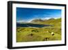 Waiting on This Day-Philippe Sainte-Laudy-Framed Photographic Print