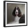 Waiting Patiently English Springer Spaniel-Jai Johnson-Framed Giclee Print