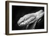 Waiting Patiently-Antonyus Bunjamin (Abe)-Framed Giclee Print