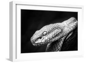 Waiting Patiently-Antonyus Bunjamin (Abe)-Framed Giclee Print