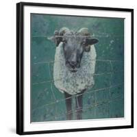 Waiting Sheep, 2000-Peter Wilson-Framed Giclee Print