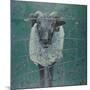 Waiting Sheep, 2000-Peter Wilson-Mounted Giclee Print