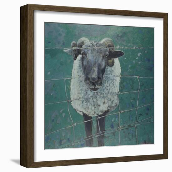 Waiting Sheep, 2000-Peter Wilson-Framed Giclee Print