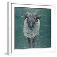 Waiting Sheep, 2000-Peter Wilson-Framed Giclee Print