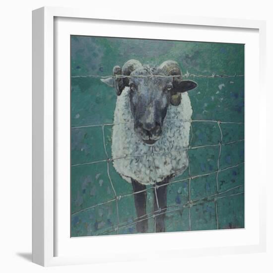 Waiting Sheep, 2000-Peter Wilson-Framed Giclee Print