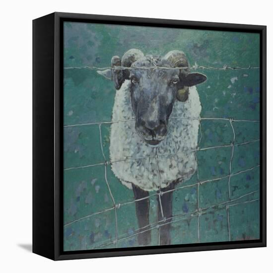 Waiting Sheep, 2000-Peter Wilson-Framed Stretched Canvas