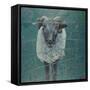 Waiting Sheep, 2000-Peter Wilson-Framed Stretched Canvas