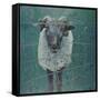 Waiting Sheep, 2000-Peter Wilson-Framed Stretched Canvas