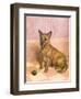 Waiting to Play, a Cairn Terrier with a Ball-Frank Paton-Framed Giclee Print