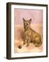 Waiting to Play, a Cairn Terrier with a Ball-Frank Paton-Framed Giclee Print