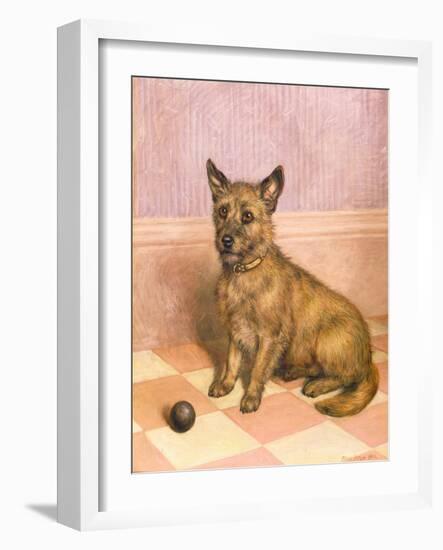 Waiting to Play, a Cairn Terrier with a Ball-Frank Paton-Framed Giclee Print