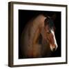 Waiting-null-Framed Art Print