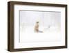 Waiting...-Doris Reindl-Framed Photographic Print