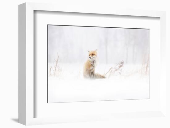 Waiting...-Doris Reindl-Framed Photographic Print