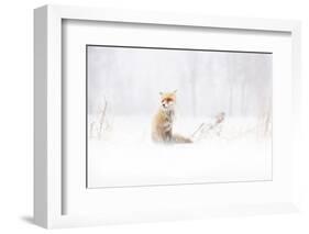 Waiting...-Doris Reindl-Framed Photographic Print