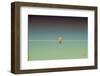 Waiting-Nathan Larson-Framed Photographic Print