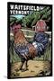 Waitsfield, Vermont - Rooster - Scratchboard-Lantern Press-Stretched Canvas