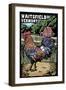 Waitsfield, Vermont - Rooster - Scratchboard-Lantern Press-Framed Art Print