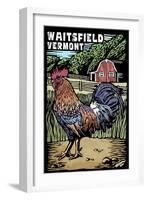 Waitsfield, Vermont - Rooster - Scratchboard-Lantern Press-Framed Art Print
