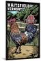 Waitsfield, Vermont - Rooster - Scratchboard-Lantern Press-Mounted Art Print