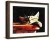 Wake Me When It Is Dinner Time-Dorothy Berry-Lound-Framed Giclee Print