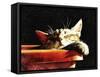 Wake Me When It Is Dinner Time-Dorothy Berry-Lound-Framed Stretched Canvas