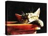 Wake Me When It Is Dinner Time-Dorothy Berry-Lound-Stretched Canvas