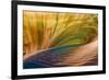 Wake Patterns I-Kathy Mahan-Framed Photographic Print