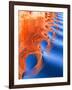 Wake Spiral II-Kathy Mahan-Framed Photographic Print