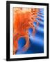 Wake Spiral II-Kathy Mahan-Framed Photographic Print