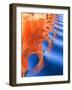 Wake Spiral II-Kathy Mahan-Framed Photographic Print