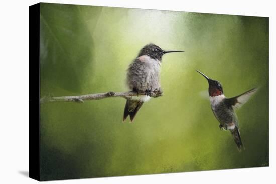 Wake Up Call Hummingbirds-Jai Johnson-Stretched Canvas