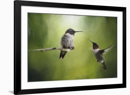 Wake Up Call Hummingbirds-Jai Johnson-Framed Giclee Print