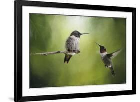 Wake Up Call Hummingbirds-Jai Johnson-Framed Giclee Print