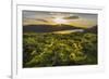 Wake Up Call-Danny Head-Framed Photographic Print