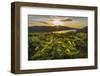 Wake Up Call-Danny Head-Framed Photographic Print